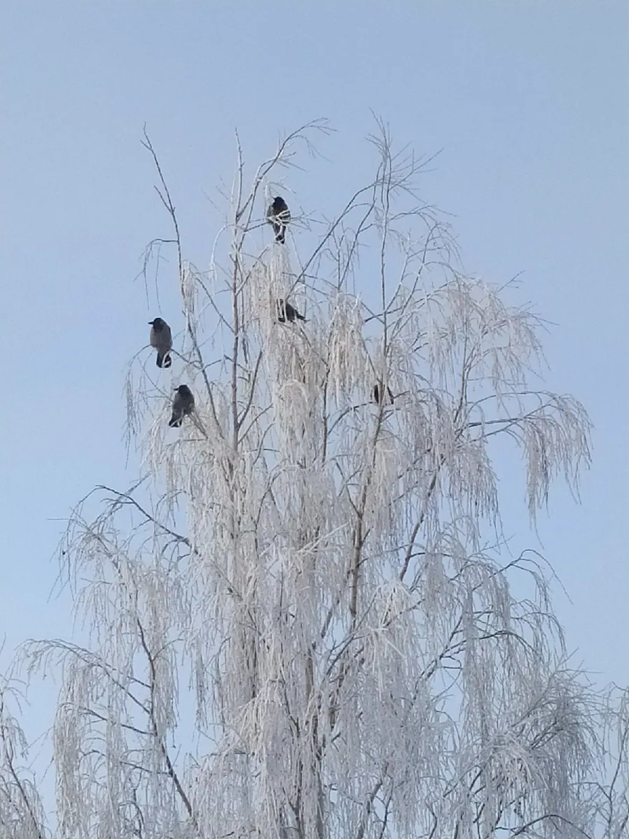 Город, пейзаж, натюрморт — художественная фотография Вячеслава Ларионова (серия «Город и пейзаж», 2023 г.)