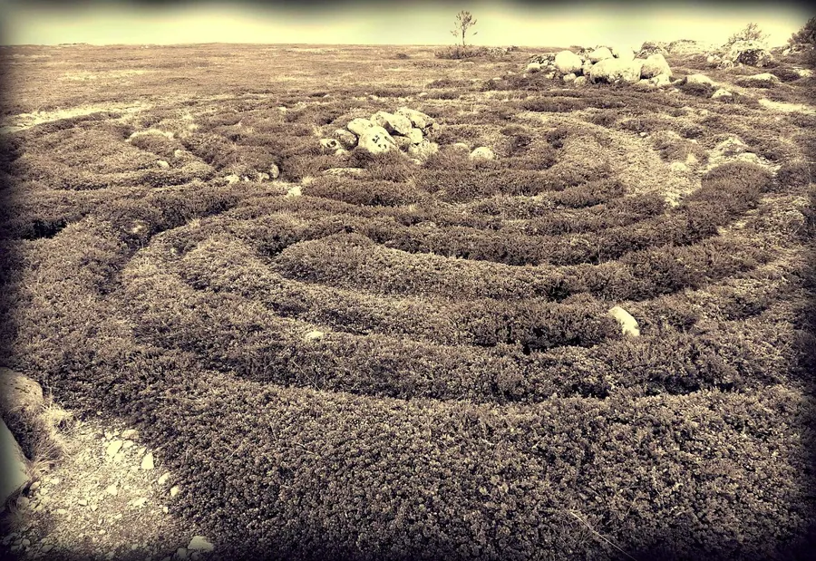 Архаика родного края — художественная фотография Вячеслава Ларионова (серия «Поморские виденья», 2013 г.)